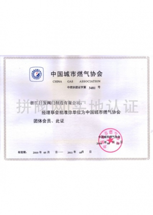 中國城市燃?xì)鈪f(xié)會